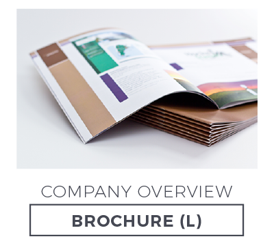 Company Overview Brochure Large